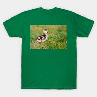 Little baby goose T-Shirt